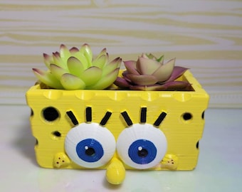 Spongebob planter!