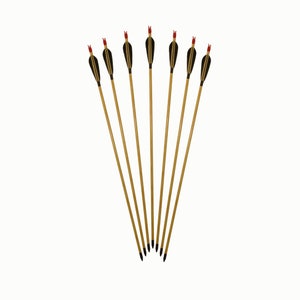 Wooden Arrow / 12 Pieces / Traditional Archery