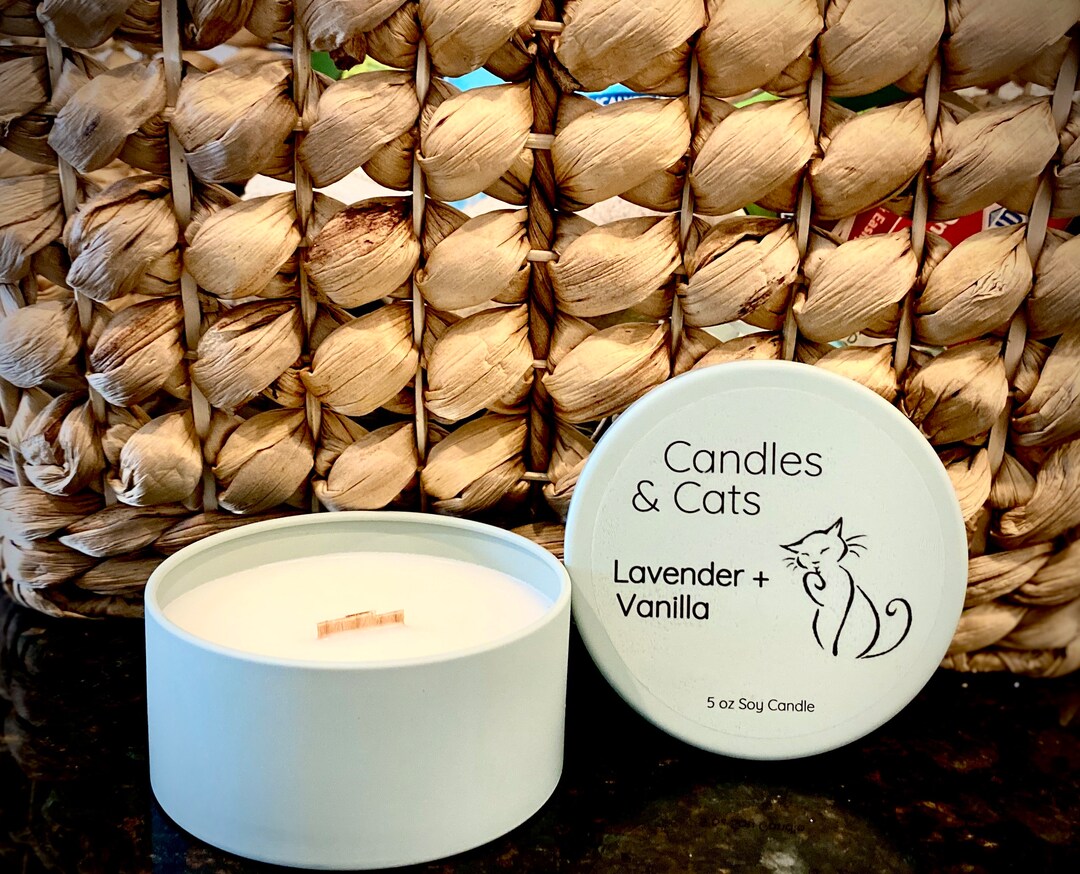 Choose Your Scent Natural Soy Candles Sage Colored 5oz Tins Reusable