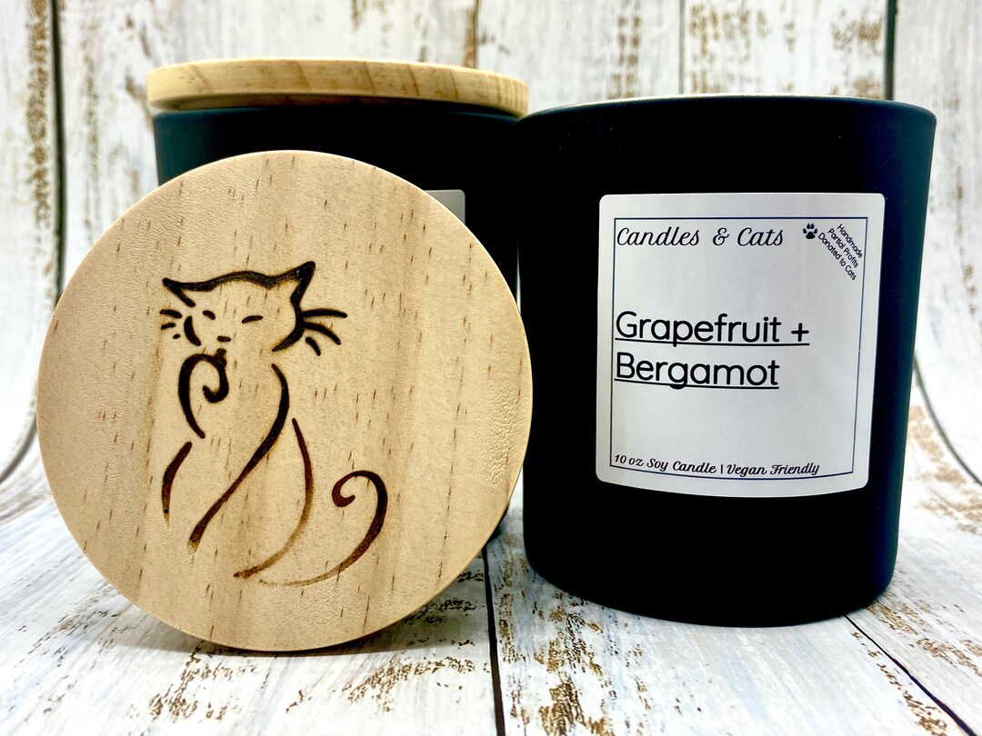 Grapefruit Bergamot Luxury Soy Candles Candles & Cats Home Decor Energizing Scent Handmade Soy