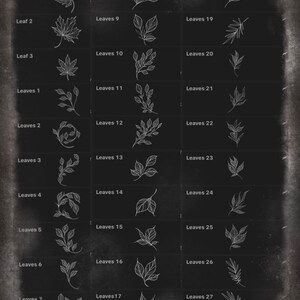 Procreate Leaf Stamps - Digital Stamp Pack in Brushset Format, Autumn ...