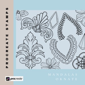May include: A set of black and white ornate mandala stamps for use with the Procreate app. The stamps feature floral, geometric, and abstract designs.