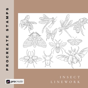Butterflies and insect stamp pack for procreate, PMU Tattoo Designs, Cosmetic Tattoo Artists, bugs, dragonflies, beetles