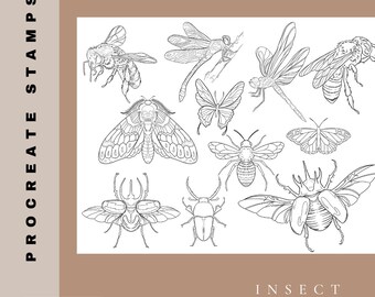 May include: A set of 10 black and white line art insect illustrations. The insects include a bee, a dragonfly, a moth, a butterfly, and a beetle. The illustrations are perfect for use in digital art, scrapbooking, or other creative projects.