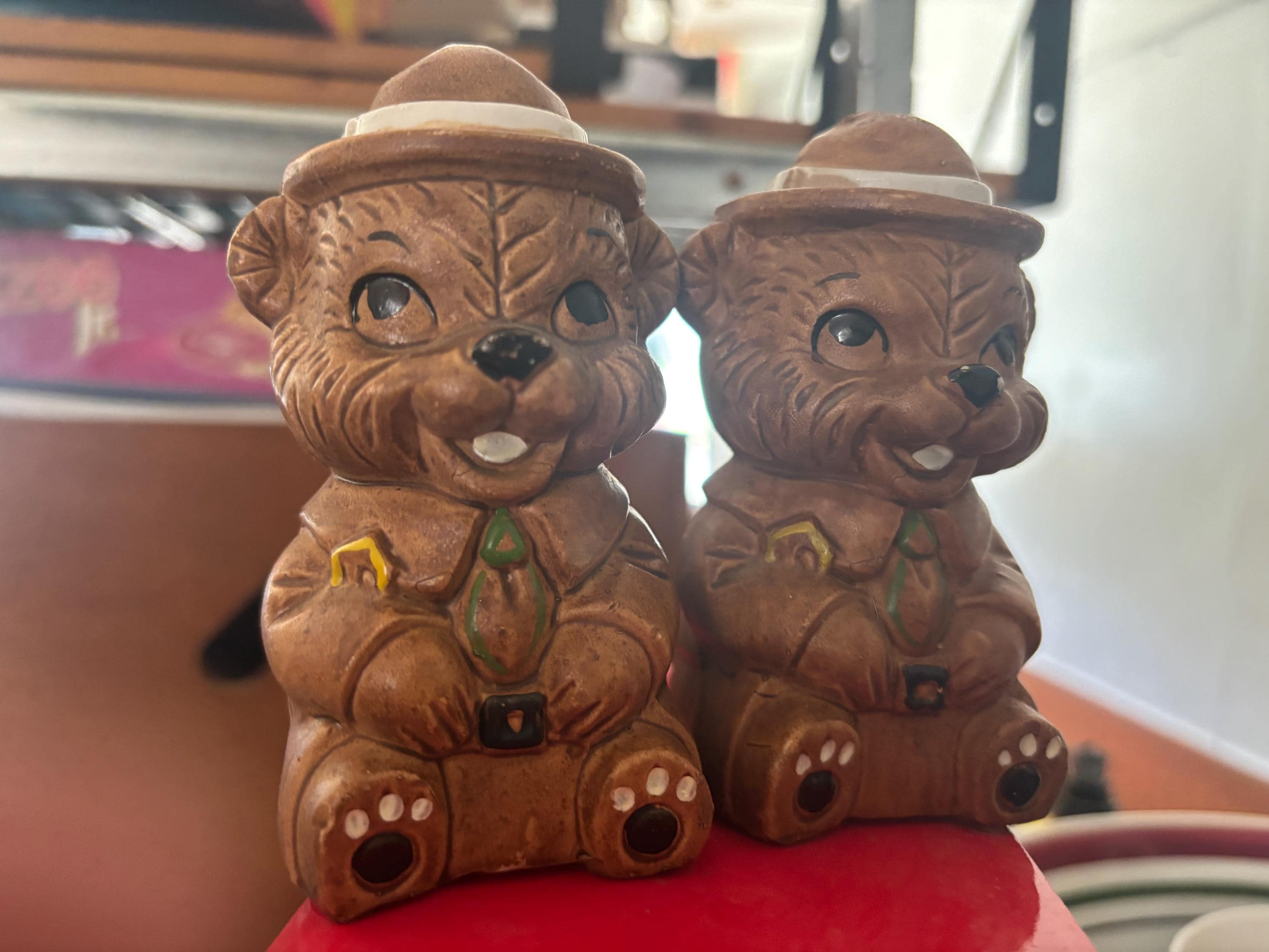 Smokey the Bear Salt & Pepper Shakers - Etsy
