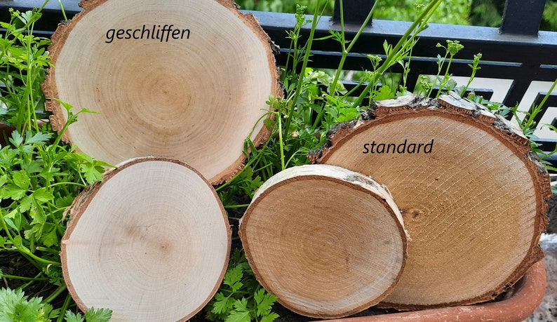 Geschliffene Scheiben idéal pour l'gravage, Holzscheiben 8-40cm image 5