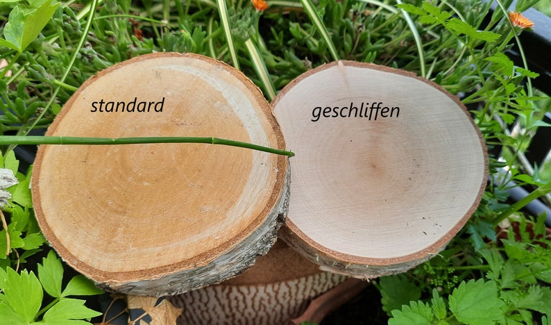 Geschliffene Scheiben idéal pour l'gravage, Holzscheiben 8-40cm image 6