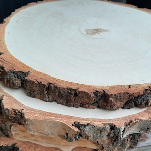 Große geschliffene Scheiben ideal für Eingravierung, Holzscheiben 25-40cm, Untersetzer aus Holz, Große Baumscheiben