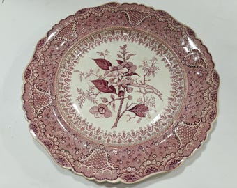 Isiatic Plants - Antique English Transferware, purple plate