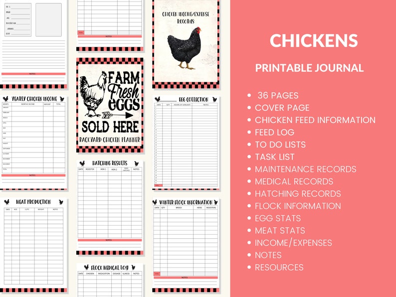 Printable Chicken Record Keeping Journal Backyard Chicken Logbook Chicken Journal PDF Chicken Binder Chicken Egg Tracker Homesteading image 2