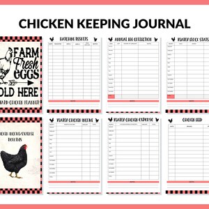 Printable Chicken Record Keeping Journal Backyard Chicken Logbook Chicken Journal PDF Chicken Binder Chicken Egg Tracker Homesteading image 3