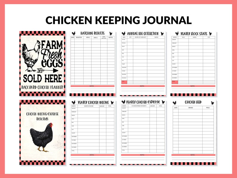 Printable Chicken Record Keeping Journal Backyard Chicken Logbook Chicken Journal PDF Chicken Binder Chicken Egg Tracker Homesteading image 3