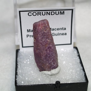 May include: A raw, cylindrical corundum crystal with a deep magenta and purple hue, displayed upright in a black plastic box on a white foam base. A white label behind the crystal features the text CORUNDUM, Magenta, and Prefecture, Guinea.
