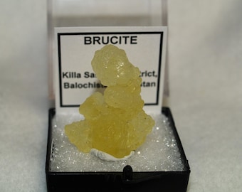 Pakistan Brucite Thumbnail Specimen