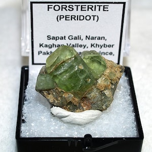 May include: A green forsterite (peridot) gemstone specimen in a black display case. The specimen is a cluster of translucent, light green crystals. The label reads "FORSTERITE (PERIDOT)" and lists the location as Sapat Gali, Naran, Pakistan.