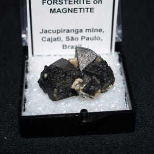 Forsterite on Magnetite Thumbnail Specimen