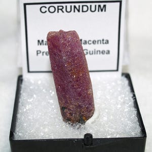 Peut inclure: Un spécimen de cristal de corindon magenta brut et cylindrique présenté dans une boîte en plastique noir avec un rembourrage blanc. Une étiquette blanche derrière la pierre porte le texte CORUNDUM, Ma, Macenta, Pre, Guinea.