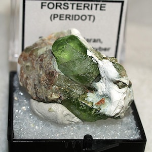 May include: A vibrant green forsterite (peridot) crystal specimen. The gemstone is displayed in a clear plastic case with a white label that reads "FORSTERITE (PERIDOT)". The crystal is set on a bed of small, clear, reflective beads.