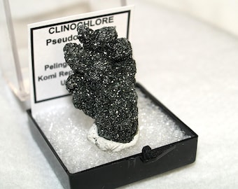 Clinoclore pseudomorph of Quartz Thumbnail Specimen