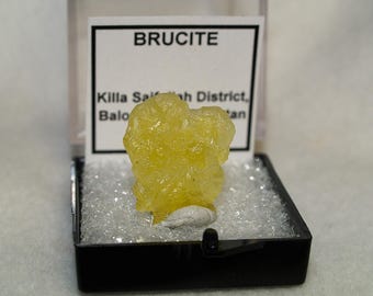 Pakistan Brucite Thumbnail Specimen