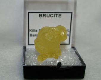 Pakistan Brucite Thumbnail Specimen