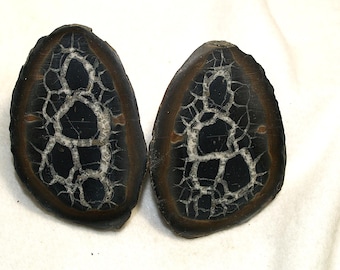 Septarian Nodule Matched Pair