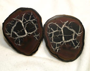 Septarian Nodule Matched Pair