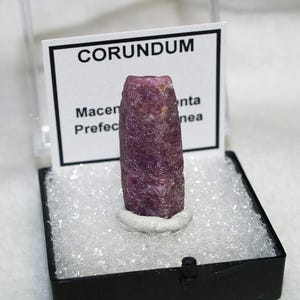 May include: A raw, cylindrical corundum crystal with a deep magenta and purple hue, standing upright in a black display box. A white label behind the crystal features the text CORUNDUM, Macenta, and Prefec, with the specimen resting on white filler.