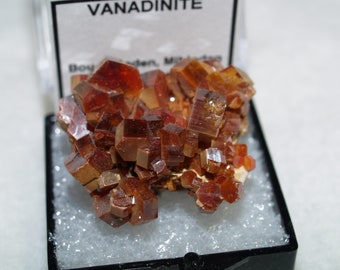 Esemplare in miniatura di vanadinite