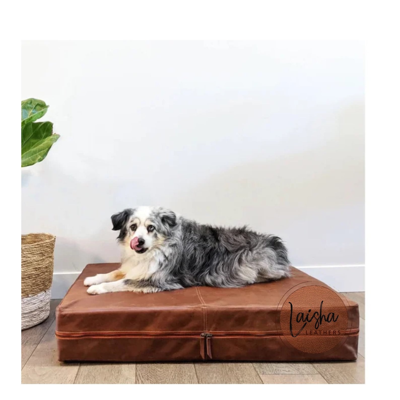 Leather Dog Beds: Where To Find One In Australia