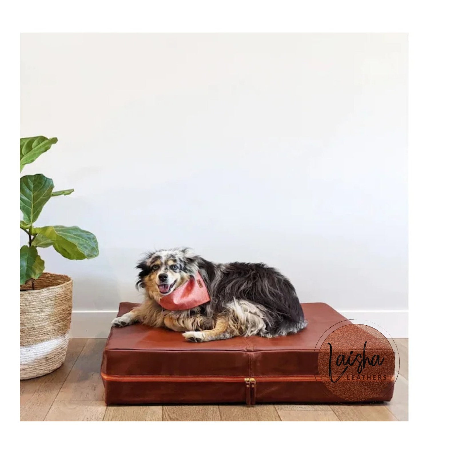 Leather Dog Beds: Where To Find One In Australia