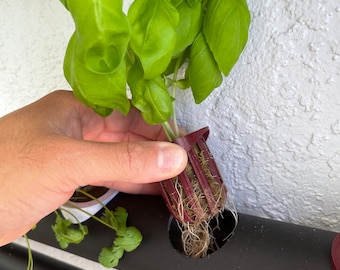 Hydroponic Net Pot: 2-inch Hydro-Pot by DKLUUB