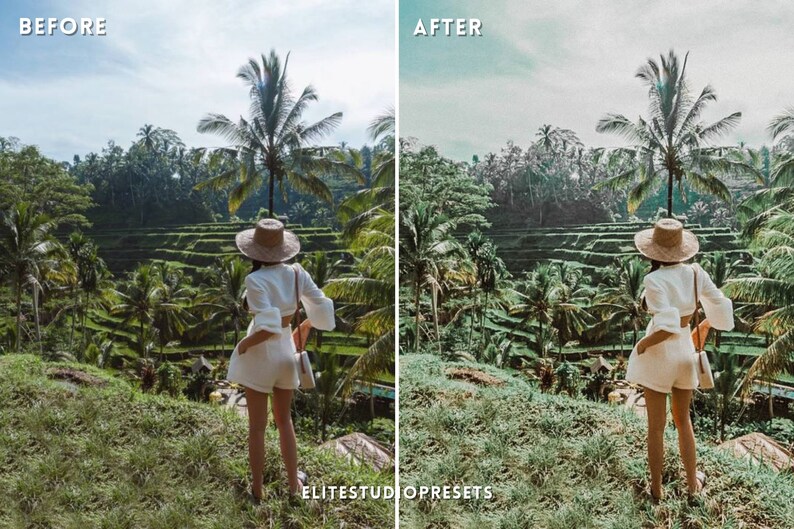 Lightroom Preset BALI Single Mobile Desktop Lightroom Preset Etsy