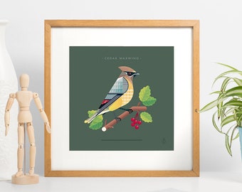 Cedar Waxwing Art Deco Inspired Bird Art Print. Contemporary geometric with vintage style. Medium Size American Birds / Modern Boho colors