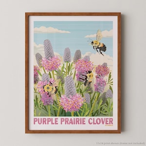 May include: A framed art print featuring a vibrant illustration of purple prairie clover flowers and bees. The artwork has a vintage aesthetic, with a light blue sky and white clouds in the background. The text "PURPLE PRAIRIE CLOVER" is at the bottom.