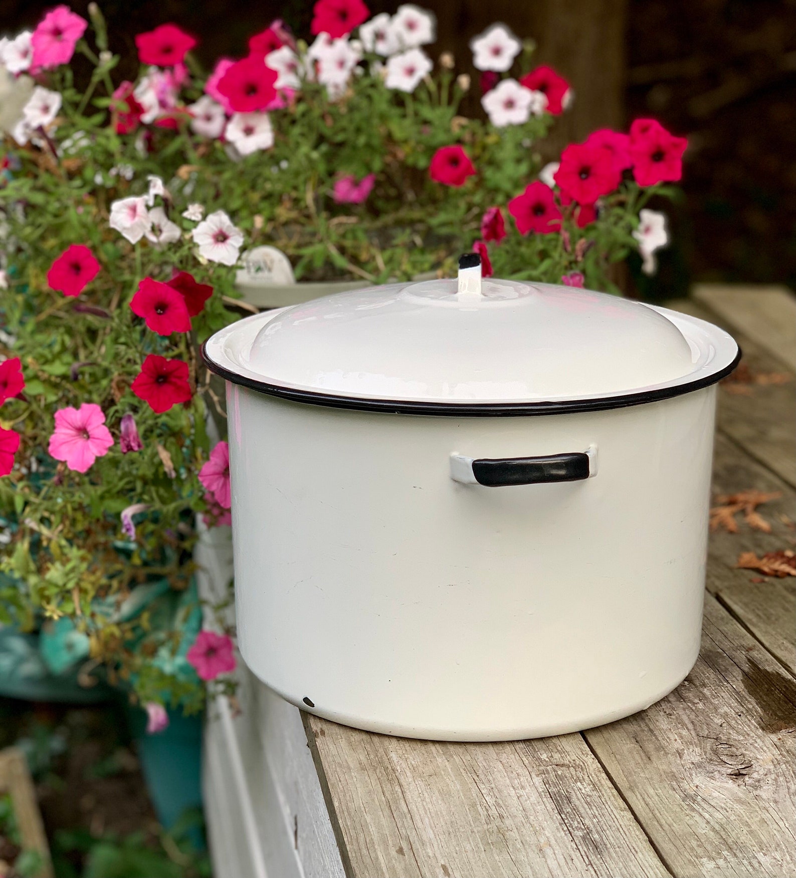 Large enamel boiling pot with lid from 1950s Etsy