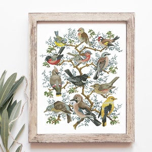 BIRDS cross stitch pattern. Birds EMBROIDERY, modern cross stitch pattern. Hand embroidery hoop art. Birds counted cross stitch, chart