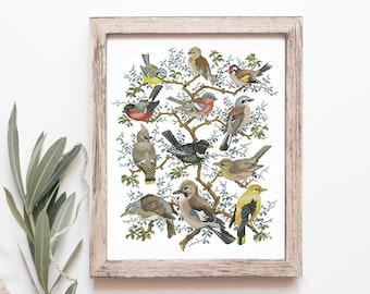 BIRDS cross stitch pattern. Birds EMBROIDERY, modern cross stitch pattern. Hand embroidery hoop art. Birds counted cross stitch, chart