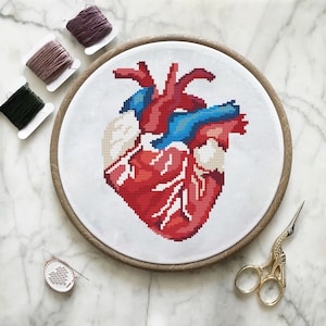 Heart cross stitch pattern Human Heart Embroidery Anatomical cross stitch Modern cross stitch Counted cross stitch Funny cross stitch chart