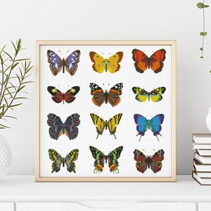 Butterfly set pattern, PDF butterfly pattern, Butterfly cross stitch pattern pdf back stitch Instant Digital Download
