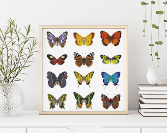 May include: A framed print featuring 12 colorful butterfly illustrations. The butterflies are arranged in a grid pattern with a white background.