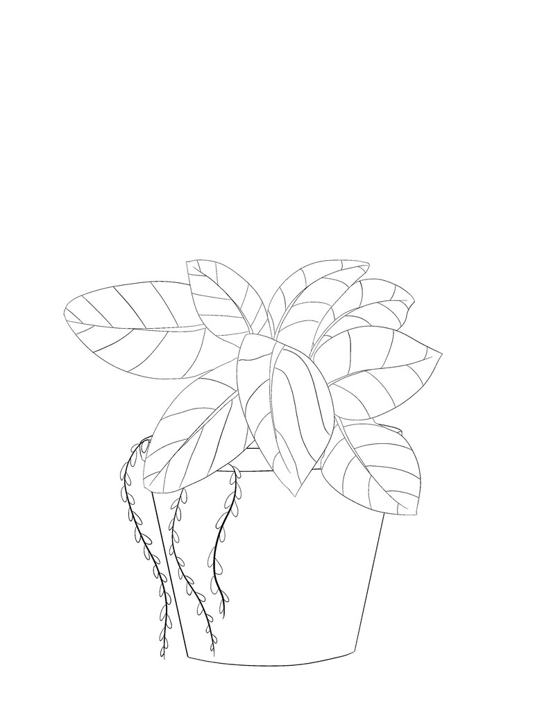 Consider the lilies coloring pages set of three | Etsy