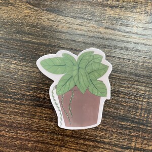 Plant Sticker | Vinyl Sticker | Water Resistant Sticker