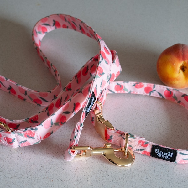 Peach Pattern Dog Collar Leash Set - Peach Cute Fruit Dog Collar Leash Set - Gold Metal Clips