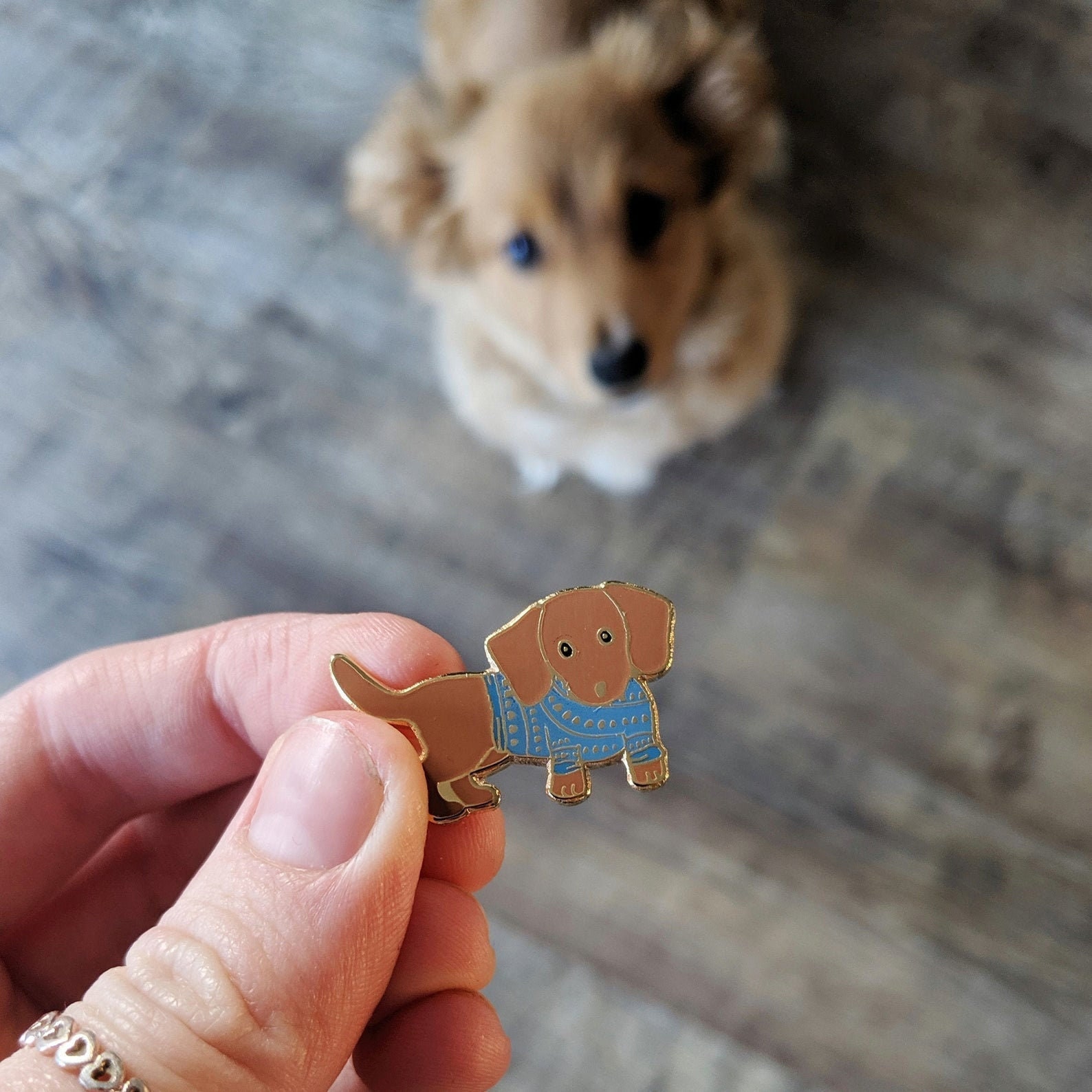 32+ Unique Dachshund Gift Ideas You Need To See