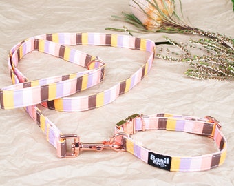 May include: A dog collar and leash set with a striped pattern in shades of pink, brown, yellow, and purple. The set includes a collar with a metal clasp and a matching leash with a metal clip. The brand name "Basil & Co." is visible on the collar.