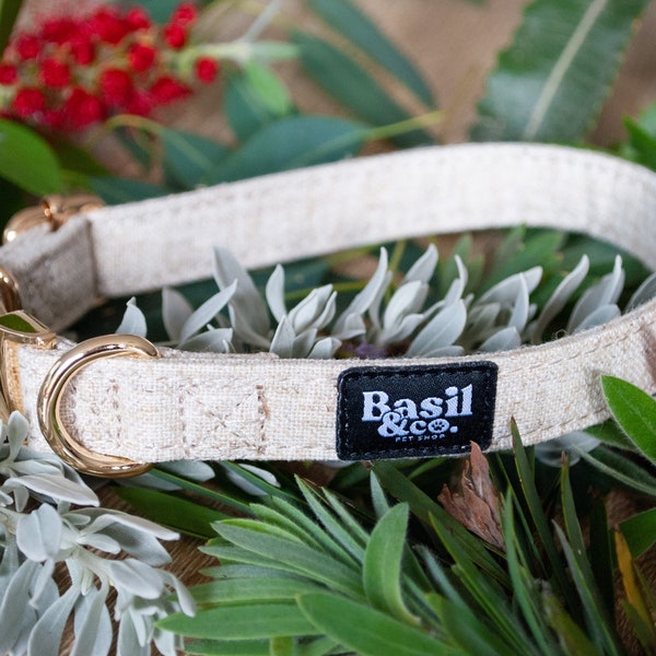 Personalized Dog Collar Metal Clip Etsy