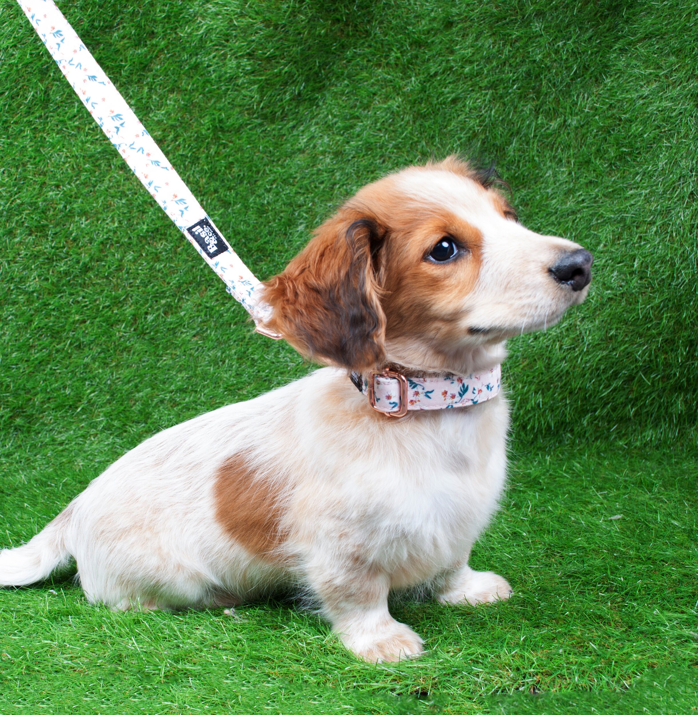 Floral Dog Collar Leash Set Flower Pattern Dog Collar Leash Etsy