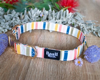 May include: A white dog collar with colorful stripes in shades of yellow, pink, blue, and green. The collar has a gold metal buckle and a black label that reads "Basil & Co. Pet Shop".
