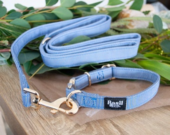 Pinstripe Dog Collar Leash Set - Blue Pattern Dog Collar Lead Set - Gold Metal Clips